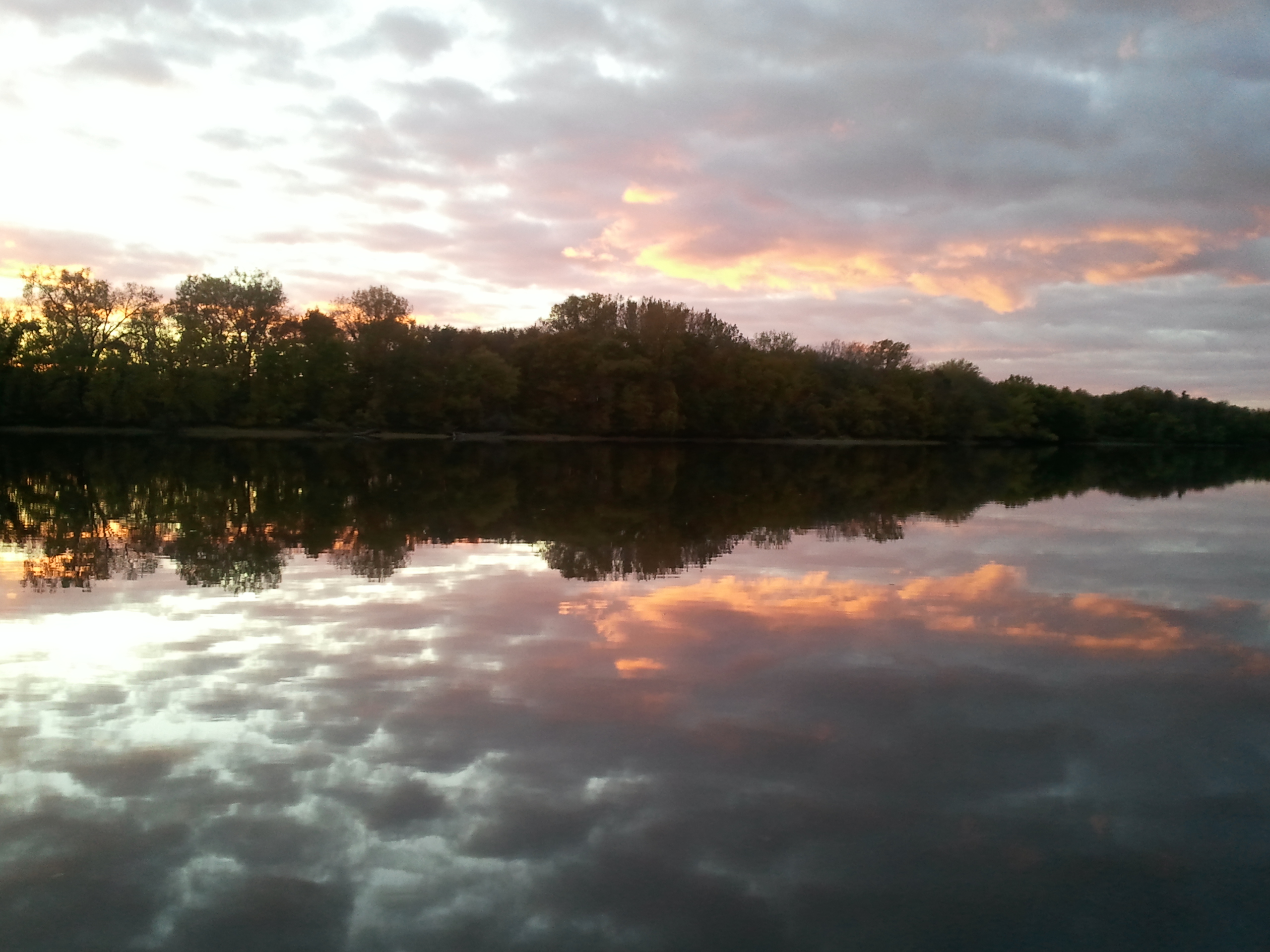 2012-10-06 18 43 47 rose